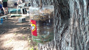 homemade water purification system made from a bottle