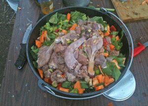 goose and vegetables in dutch oven
