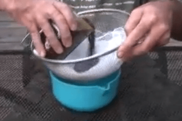 straining the liniment through cheesecloth