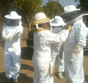 getting the bee suits on