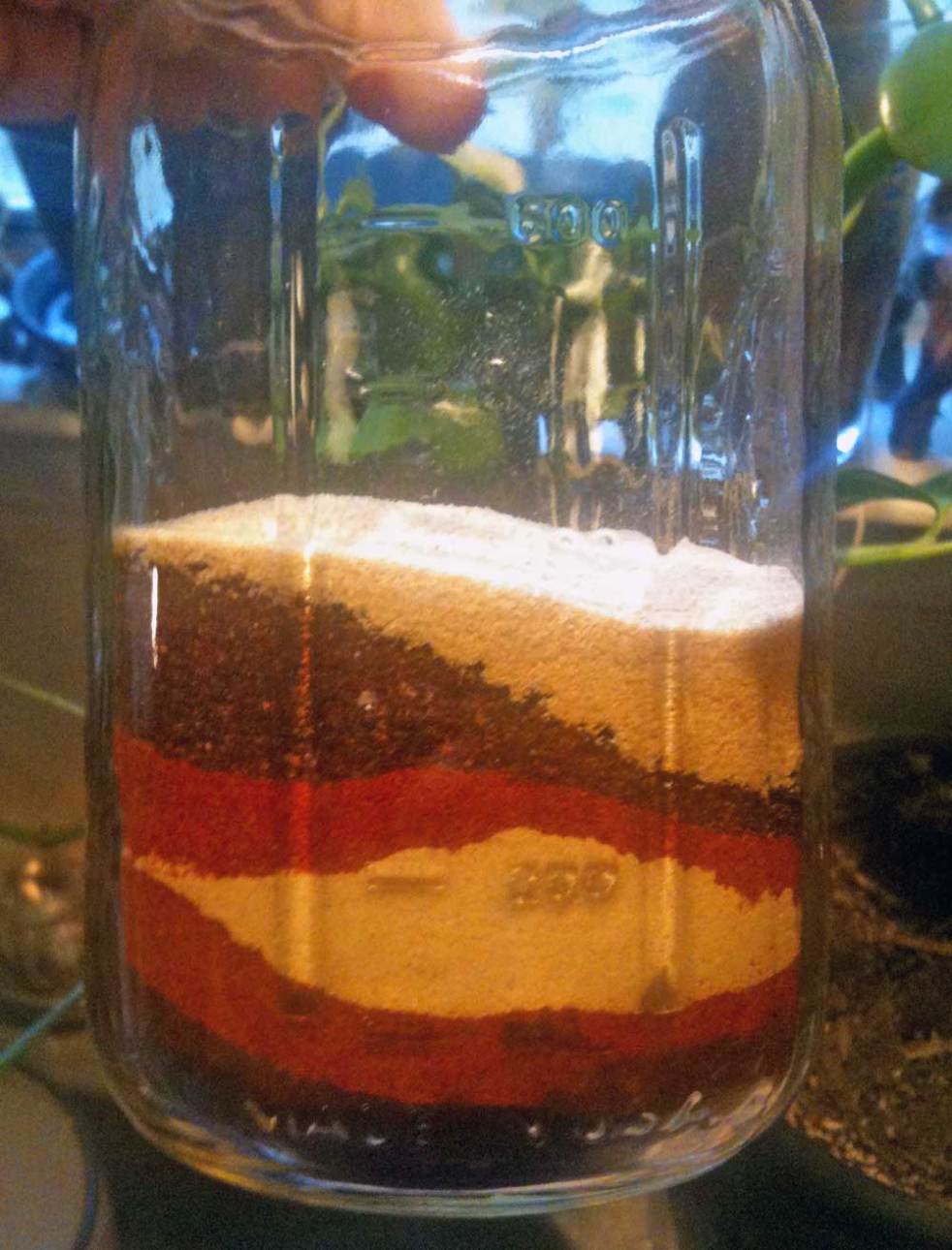 layered spices for fire cider